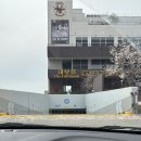 더풀하우스 | 기장 대보름 웨딩홀(파티더풀문) 하우스웨딩 스몰웨딩 홀투어 솔직후기 (견적 공유)