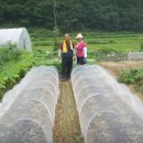 아벨농장 이미지