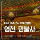 만불사 | 30만 불상이 만들어내는 압도적인 스케일 ‘영천 만불사’