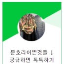 문호리&이쁜것들 - 양평군 무내미길 60 | 문호리&이쁜것들