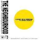 Dream in d 이미지