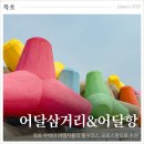 용정삼거리 인근 | 묵호 뚜벅이 여행의 성지, 어달삼거리와 어달항 방파제 아침햇살정원