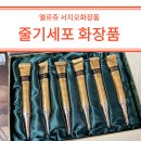 줄기세포 올인원 재생크림 기미잡티 주름개선 줄기세포배양액 화장품 후기