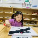 [7월 4주] 우리가 키운 당근, 토마토🥕🍅 &amp; 나만의 자동차도로 만들기🚘 이미지