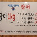 맛장어먹는날 이미지