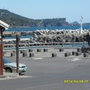 법환동-19 이미지