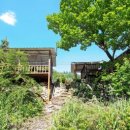 흥정계곡 409 이미지