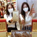 천제명홍삼(롯데백화점본점)