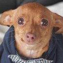 [대만 D+2] 유산동 우육면, 에스지 투어, 우라오궈 시먼딩점, 시먼홍러우 무단, 서문족체양생관