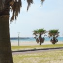 제주도게스트하우스안녕함덕