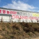 애견은 내친구 이미지