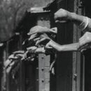 화물이야기 이미지