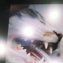 그루밍 루니 이미지