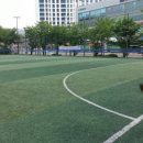 영덕레스피아 이미지