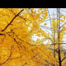 불구부정의 깨달음 이미지