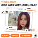 버프독 이미지