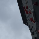 고양인공암벽장 티스토리