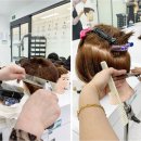 생활 헤어 미용 이미지