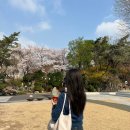 내 꿈은 뽀로로