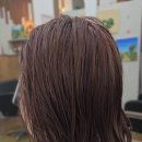 대전 도안동미용실 단발 기르는 과정, 삼각김밥 머리 해결하는 샤기 허쉬컷 후기 💇‍♀️