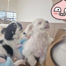 멍쓰홀릭 이미지