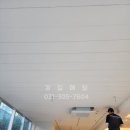 경일 동물병원 네이버블로그