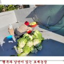 대미농장 이미지