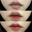 리립스 | 역대급 유리알광택 '아멜리 컨투어링 립글로스' 뱀파이어 발색 사용 후기