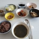 봄빛도우미 이미지