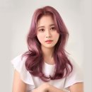 헤어1004 - 당진시 | 헤어1004