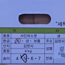 25브릭스