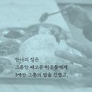 니케북스
