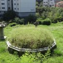 이한규 묘 이미지