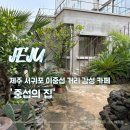 제주 서귀포 이중섭 거리 감성 카페 중섭의집