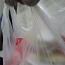 하드캐리짐 | 이재모피자 본점 아닌 부산역점 방문 후기 웨이팅 ktx 포장 메뉴 추천