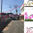 강화읍사무소 이미지