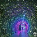 단양-단양-01 이미지