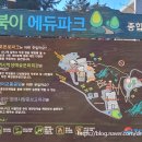 솔북이에듀파크부산솔로몬로파크 네이버블로그