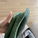 푸른녹즙 - 평택시 무지개공원3길 9 | 푸른녹즙