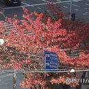 세종그랑시아공인중개사사무소 이미지