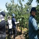 우보면사무소 이미지