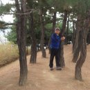 서리풀공원1-30 이미지