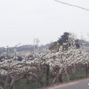 왕지농장 이미지