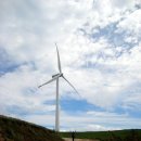 의식목장 이미지