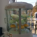 GS25 양평수입리점 이미지