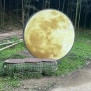 섬진강 자전거길 화장실 | 섬진강 대나무숲길 - 대숲길