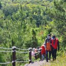 한국시각장애인연합회제주특별자치도지부 이미지