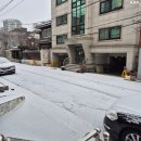 민준떡볶이 | 2026년 02월 주간일상 1.