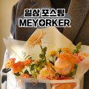 사랑 가득한 일상