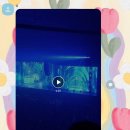 별볶이